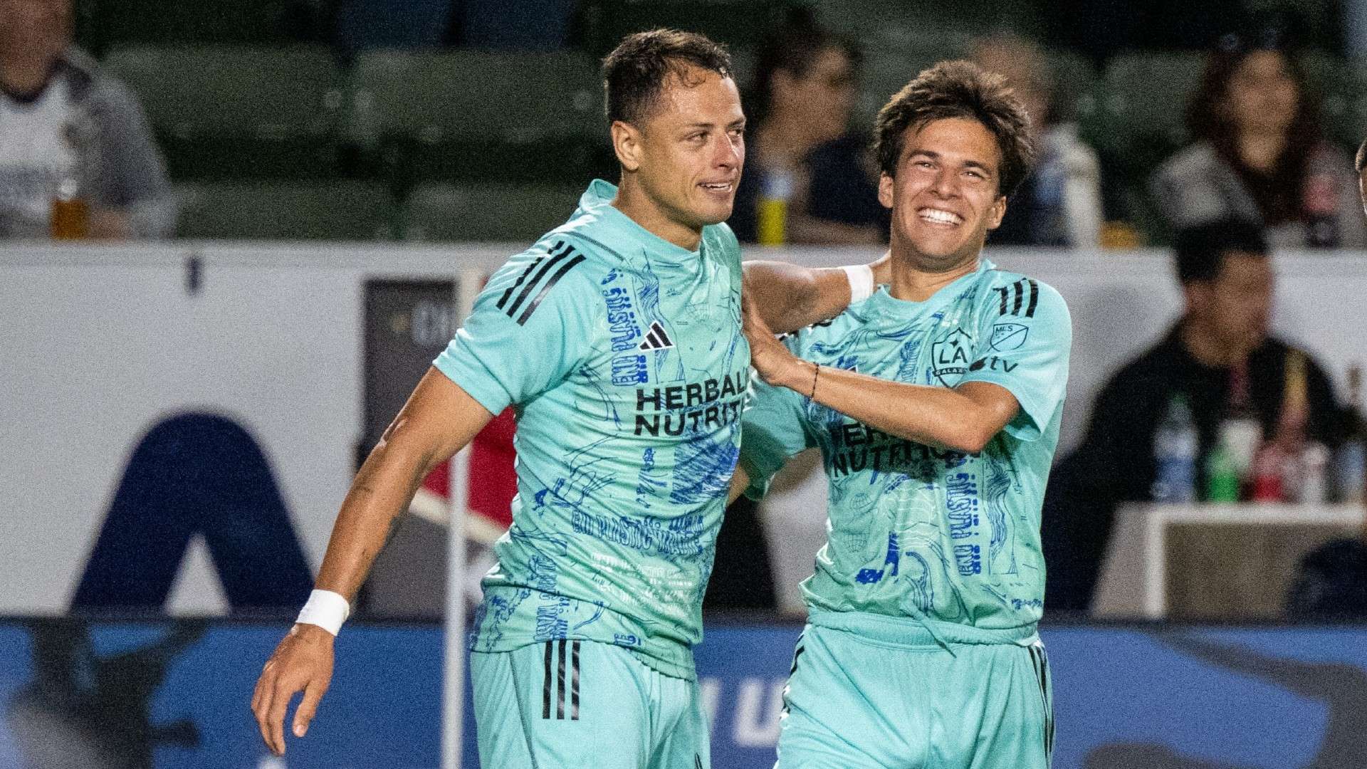 切地感受到 切地感受到