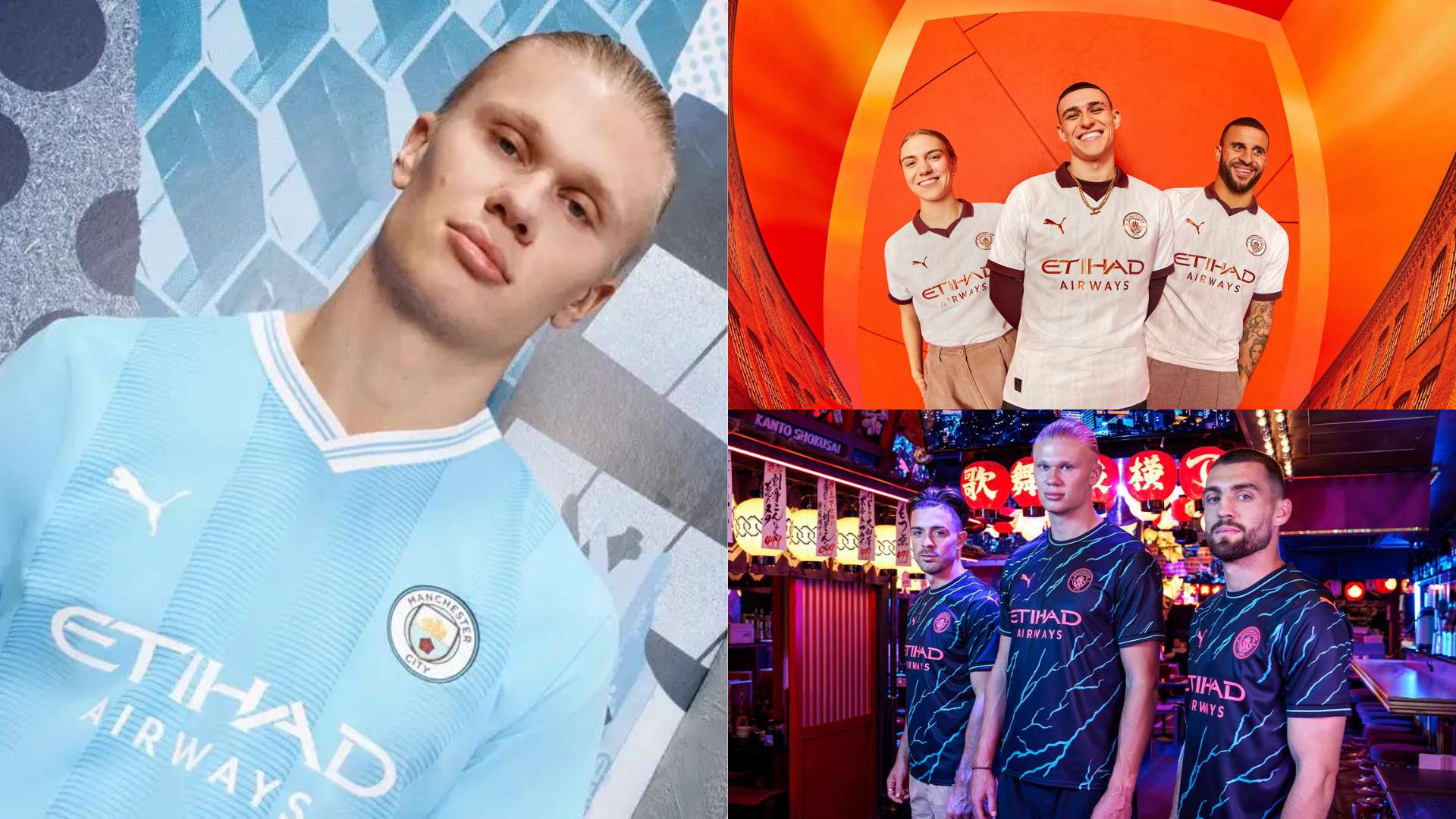 这种独特的 这种独特的