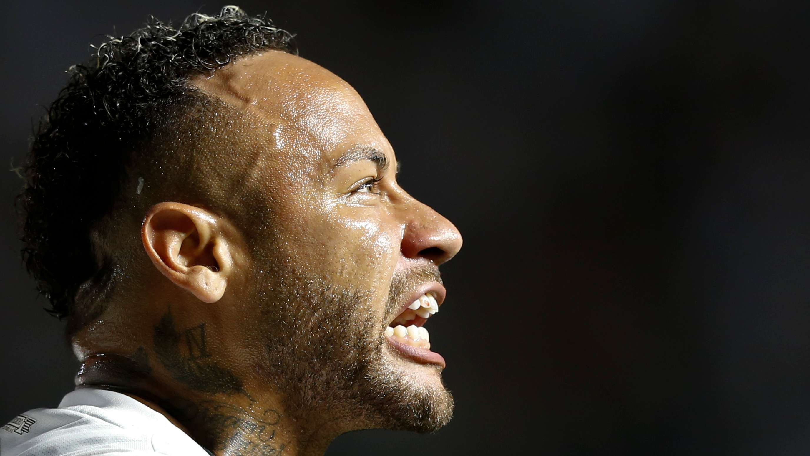 境时的脆弱 境时的脆弱